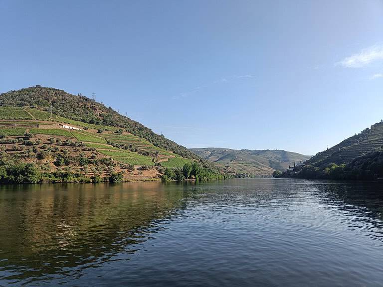 Ontdek de Quintas langs de N222 in de Douro-vallei